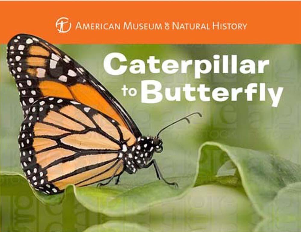 Caterpillar to Butterfly by Melissa Stewart - ISBN: 9781454914068