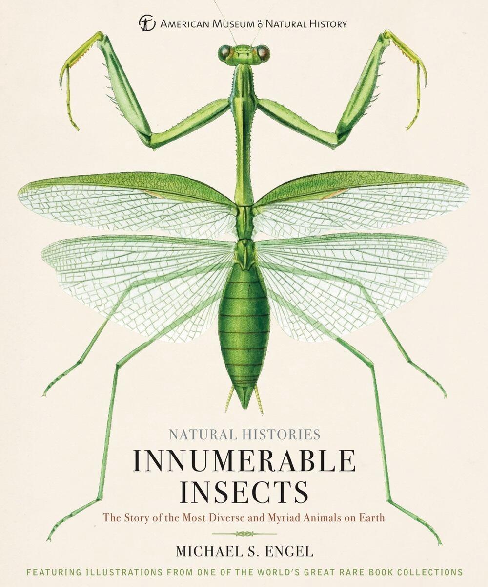 Innumerable Insects by Michael Engel - ISBN: 9781454923237
