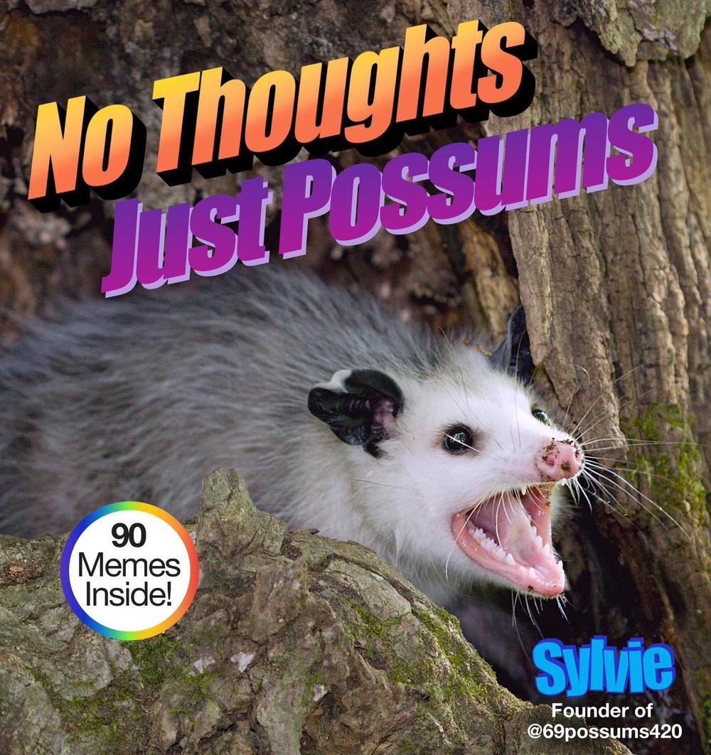 No Thoughts Just Possums by Sylvie Sylvie - ISBN: 9781454948490