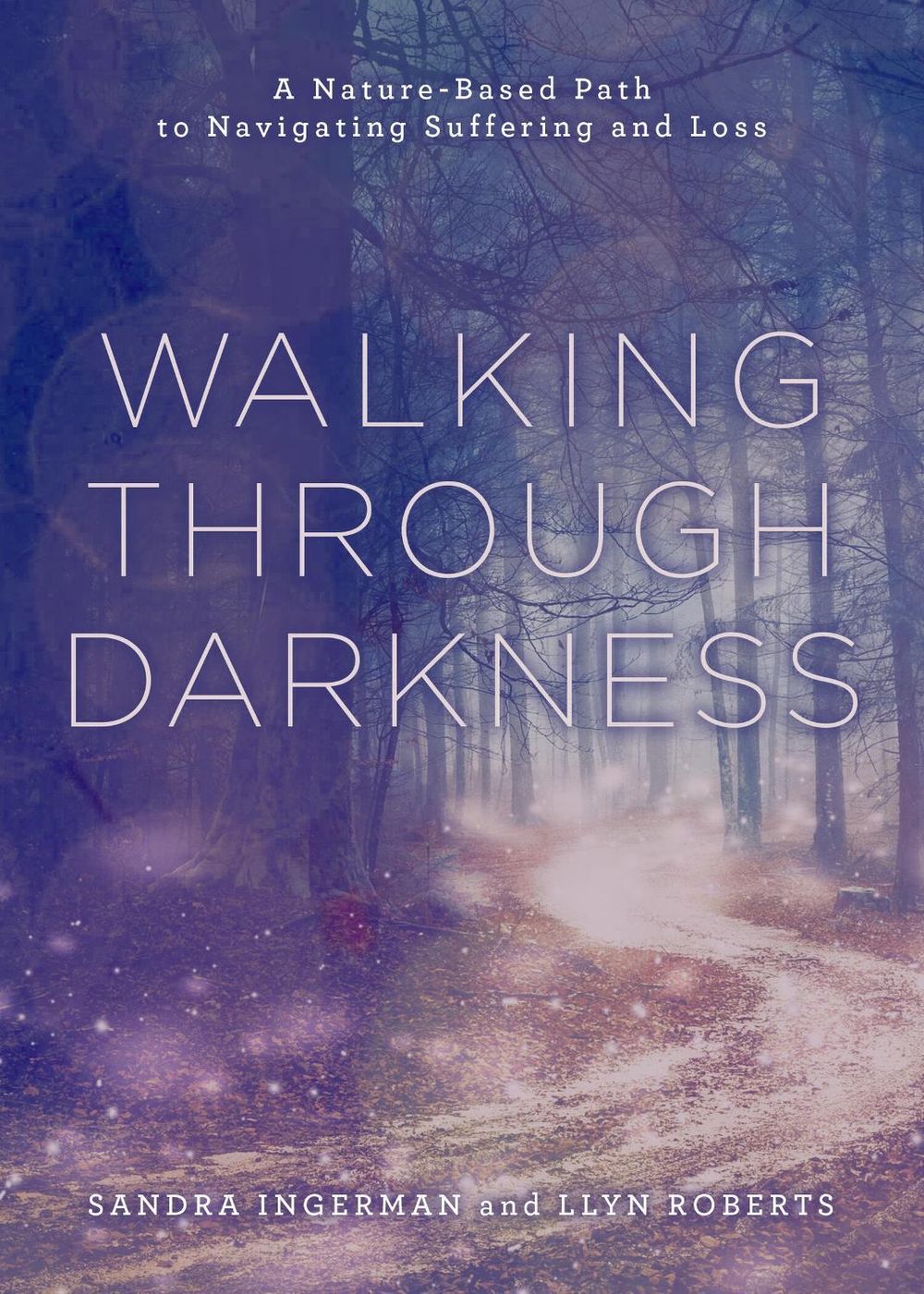 Walking through Darkness by Sandra Ingerman - ISBN: 9781454950851