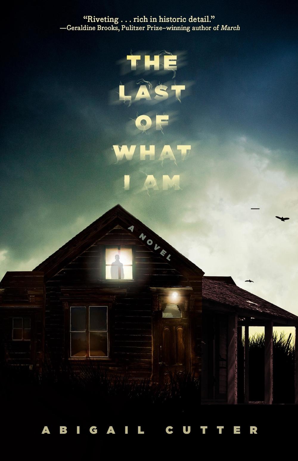 The Last of What I Am by Abigail Cutter - ISBN: 9781454951780