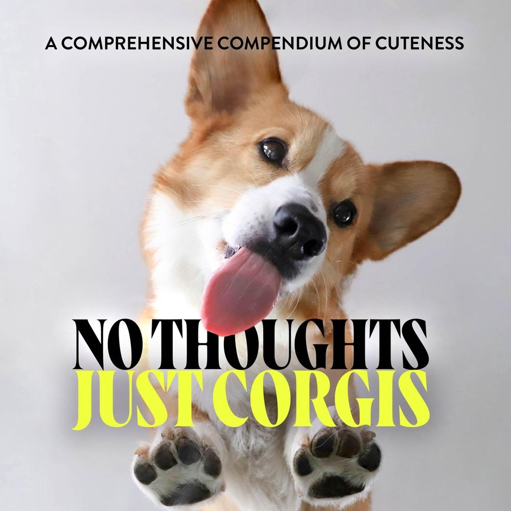 No Thoughts Just Corgis by Union Square & Co. - ISBN: 9781454951858
