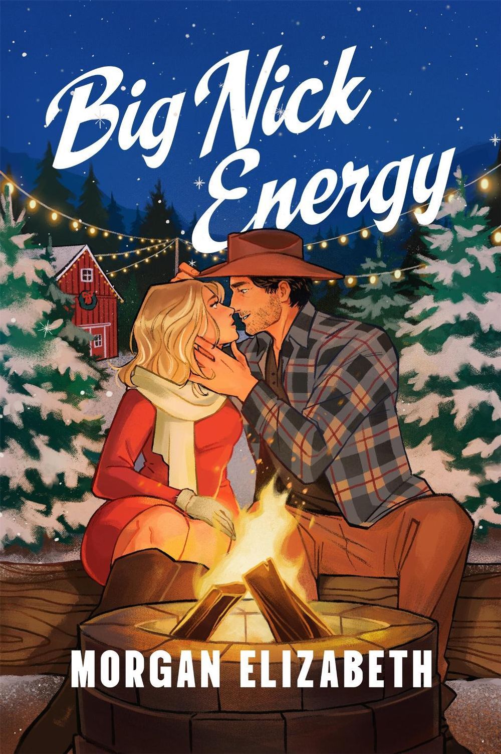 Big Nick Energy by Morgan Elizabeth - ISBN: 9781454965800