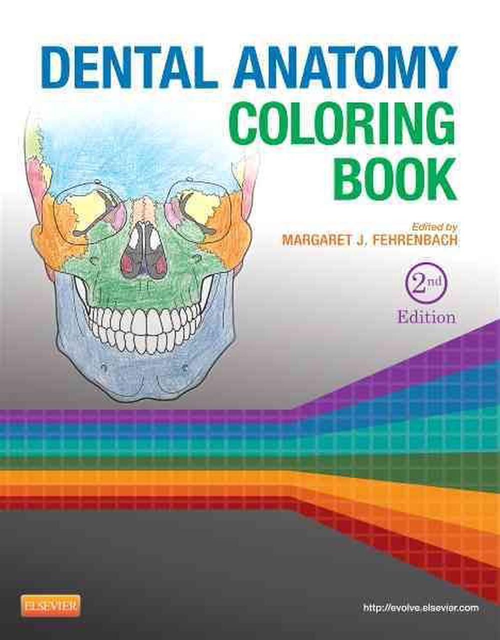 Dental Anatomy Coloring Book by Margaret J. Fehrenbach, Paperback