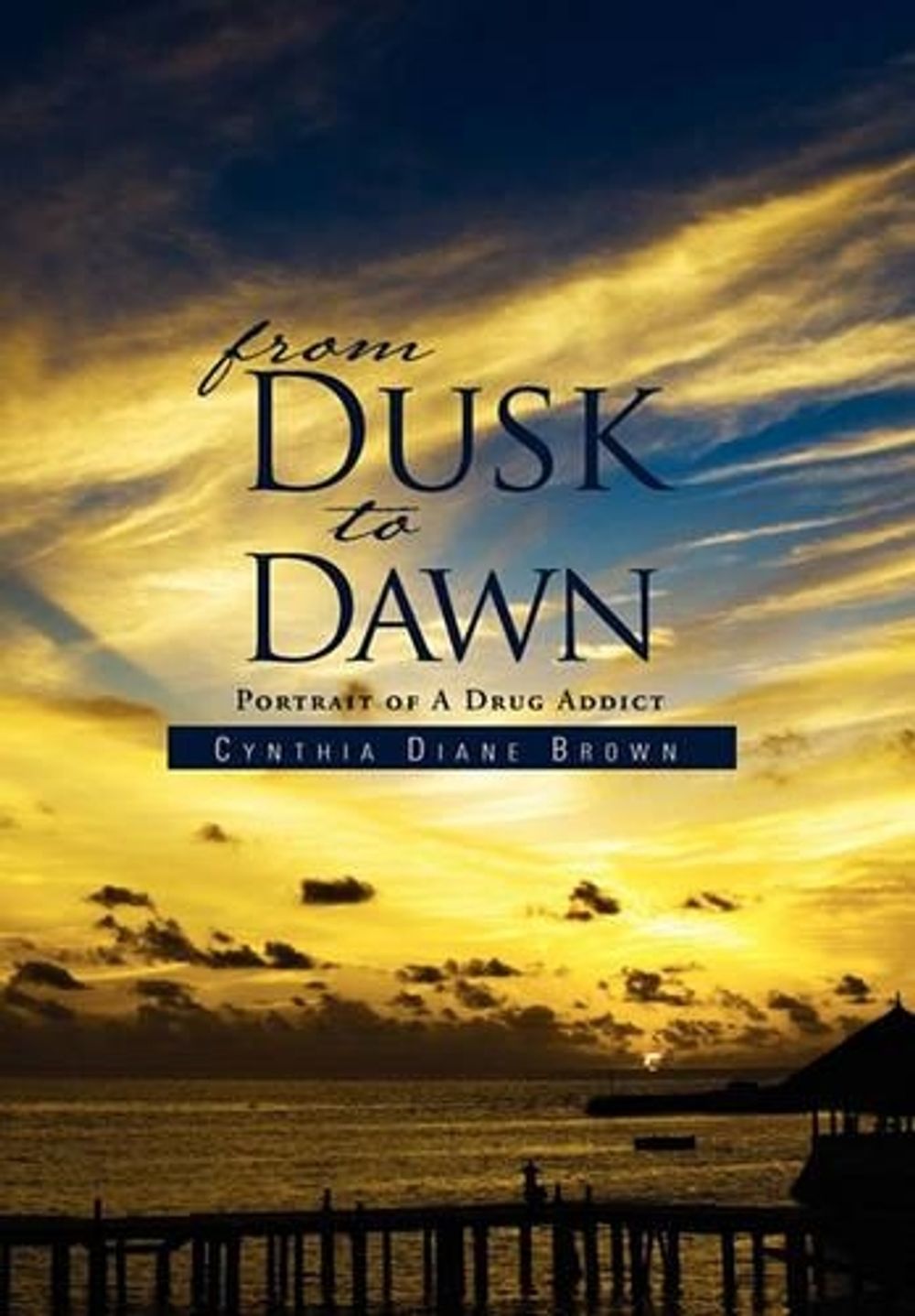 From Dusk to Dawn by Cynthia Diane Brown - ISBN: 9781462874040