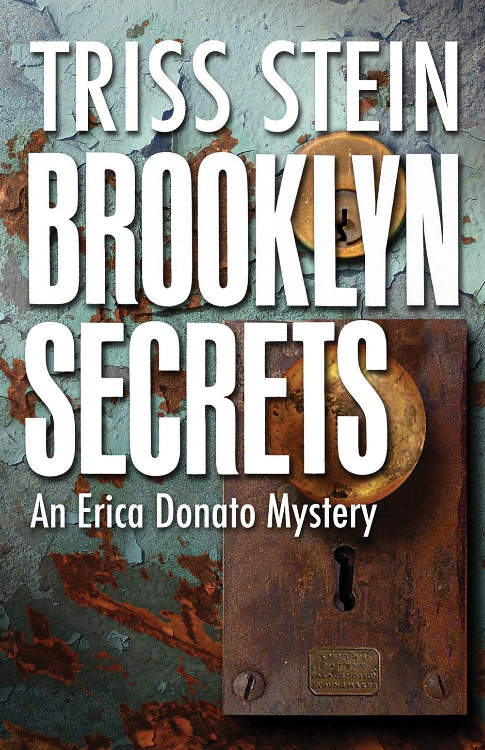 Brooklyn Secrets by Triss Stein - ISBN: 9781464204128