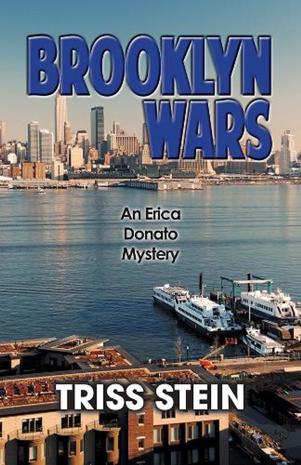 Brooklyn Wars by Triss Stein - ISBN: 9781464207198