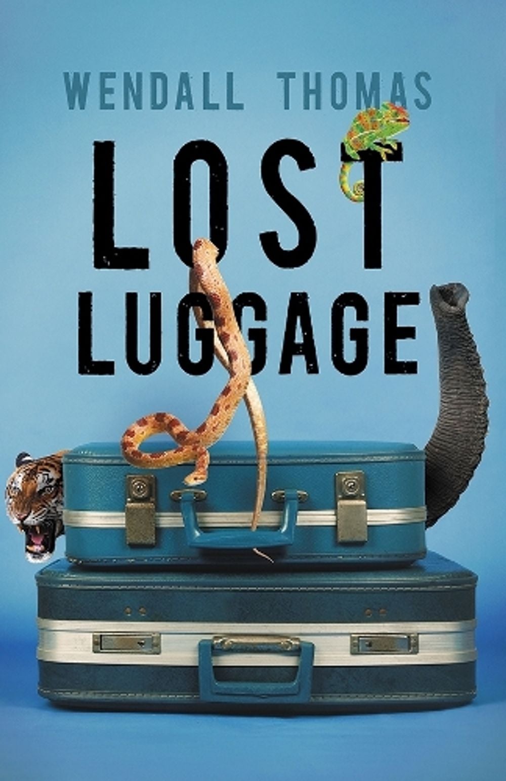 Lost Luggage by Wendall Thomas - ISBN: 9781464208928