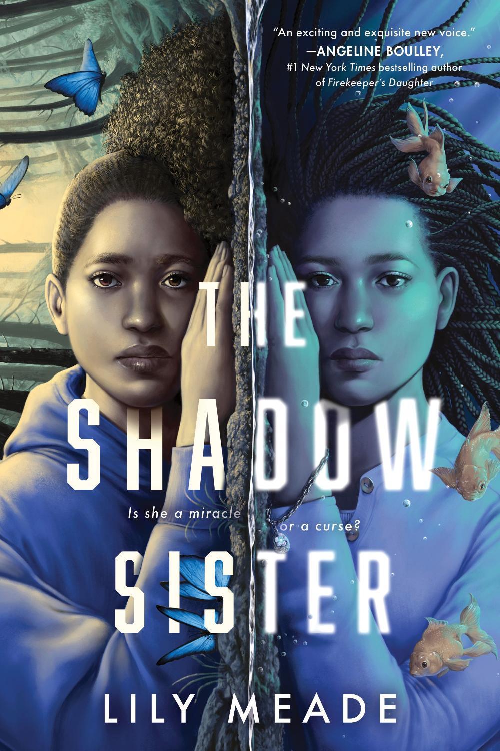 The Shadow Sister by Lily Meade - ISBN: 9781464218484