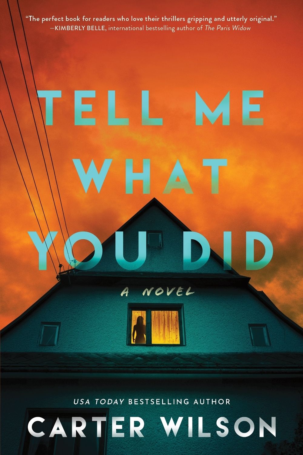 Tell Me What You Did by Carter Wilson - ISBN: 9781464226229