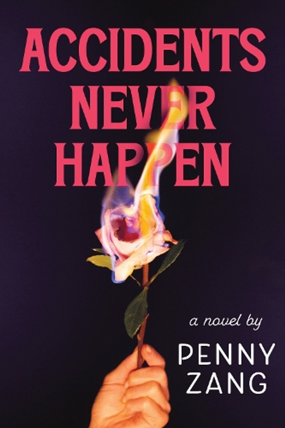 Accidents Never Happen by Penny Zang - ISBN: 9781464228179