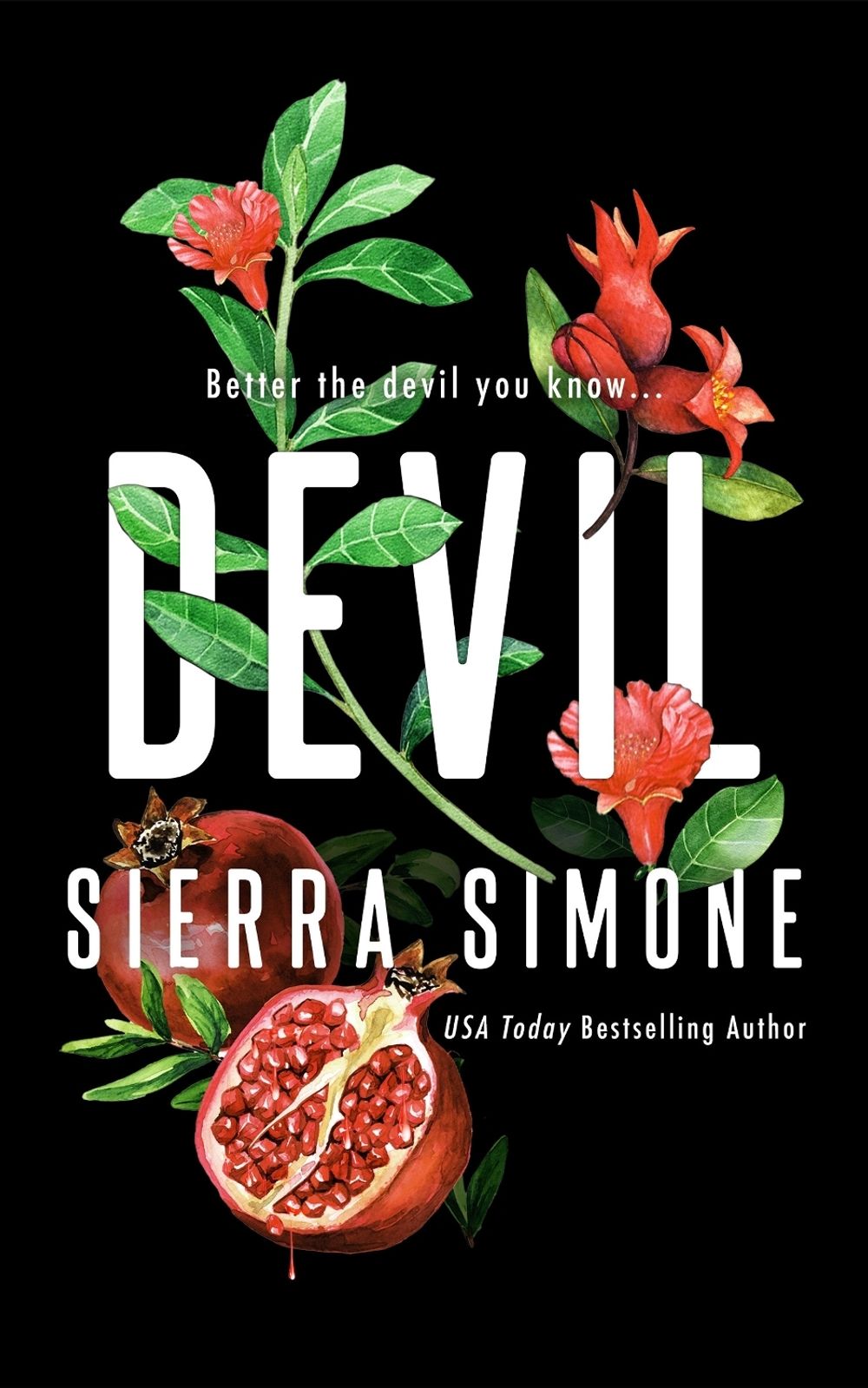 Devil by Sierra Simone - ISBN: 9781464248061