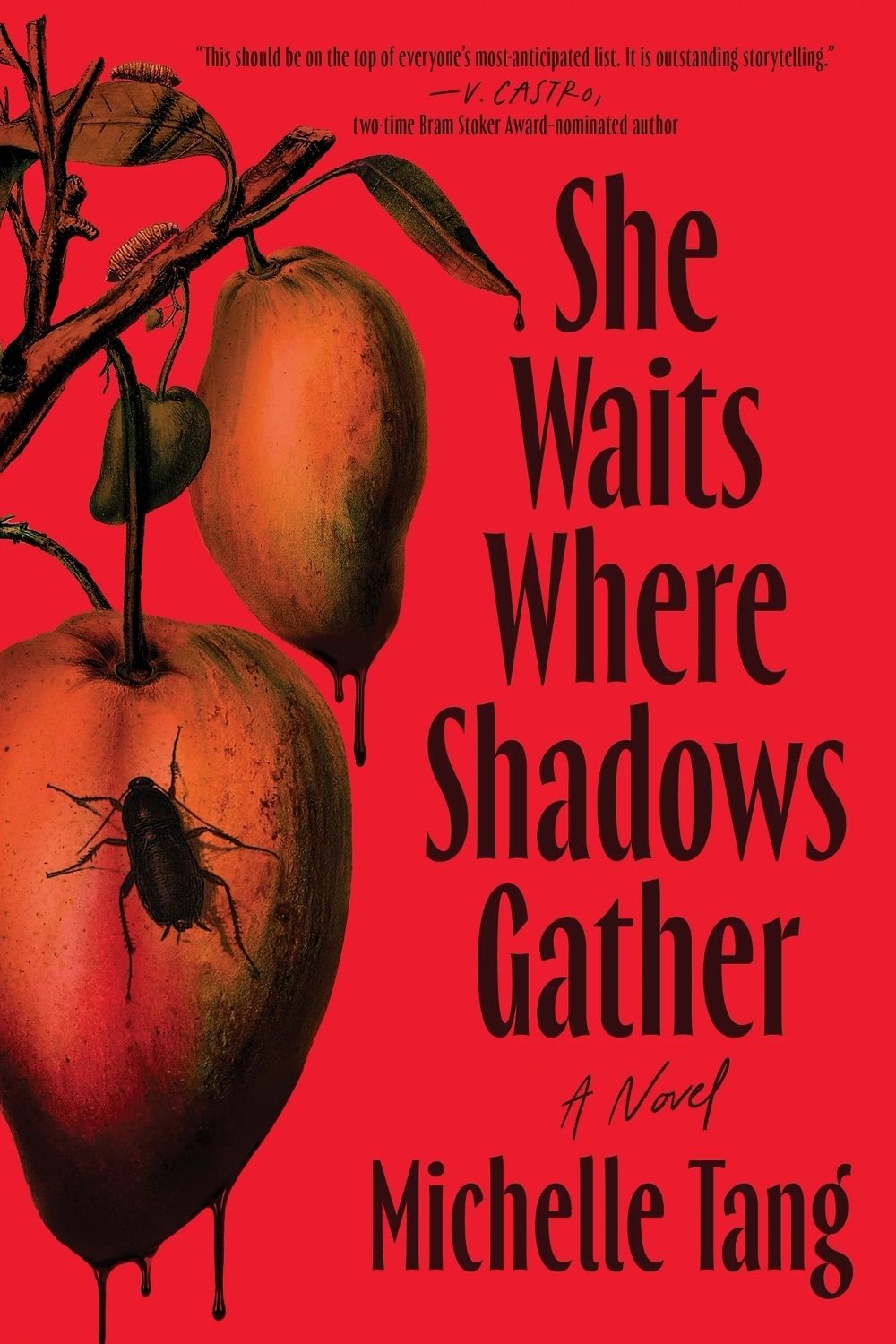 She Waits Where Shadows Gather by Michelle Tang - ISBN: 9781464251047