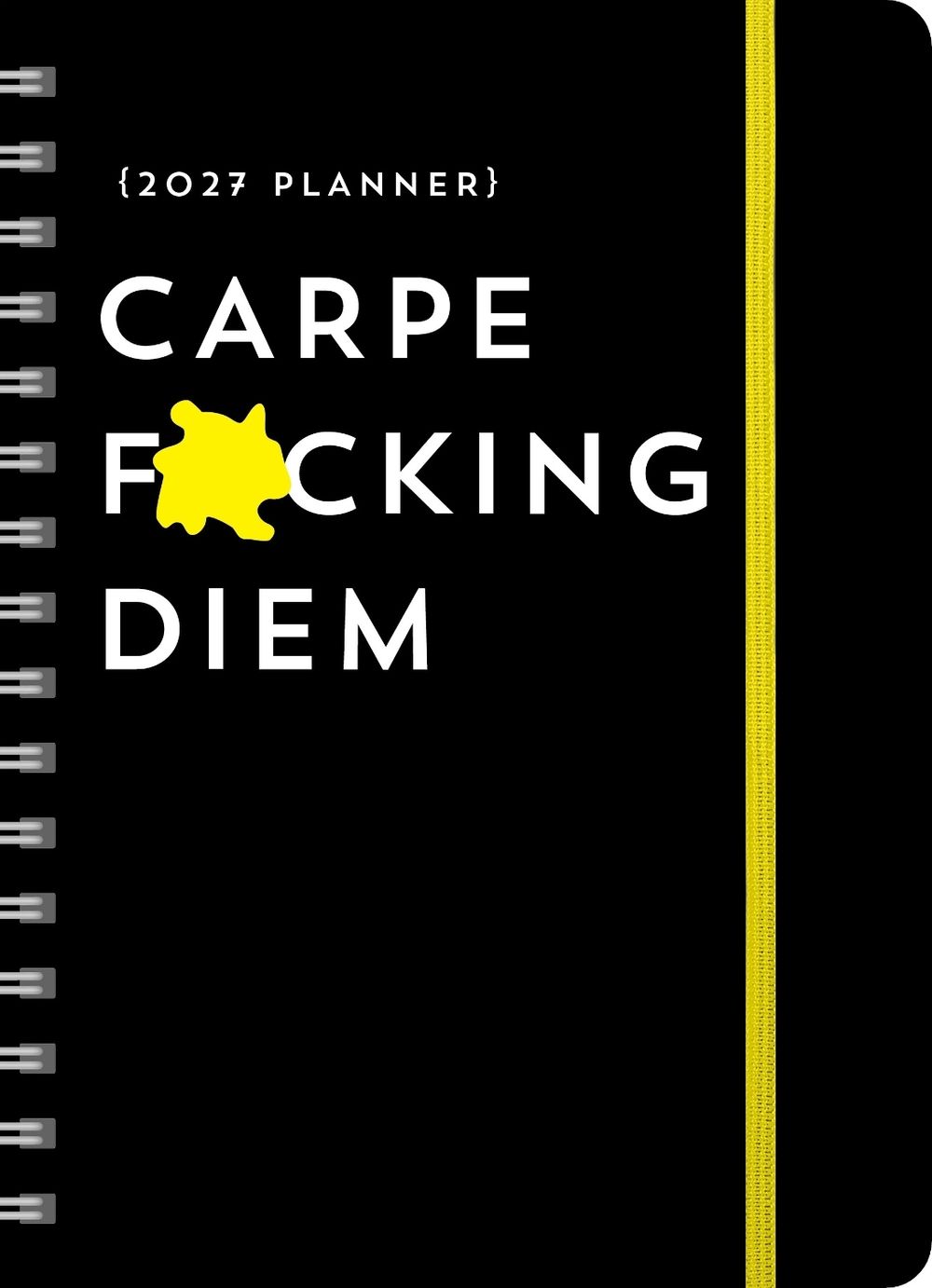 2027 Carpe F*cking Diem Planner by Sourcebooks - ISBN: 9781464262142