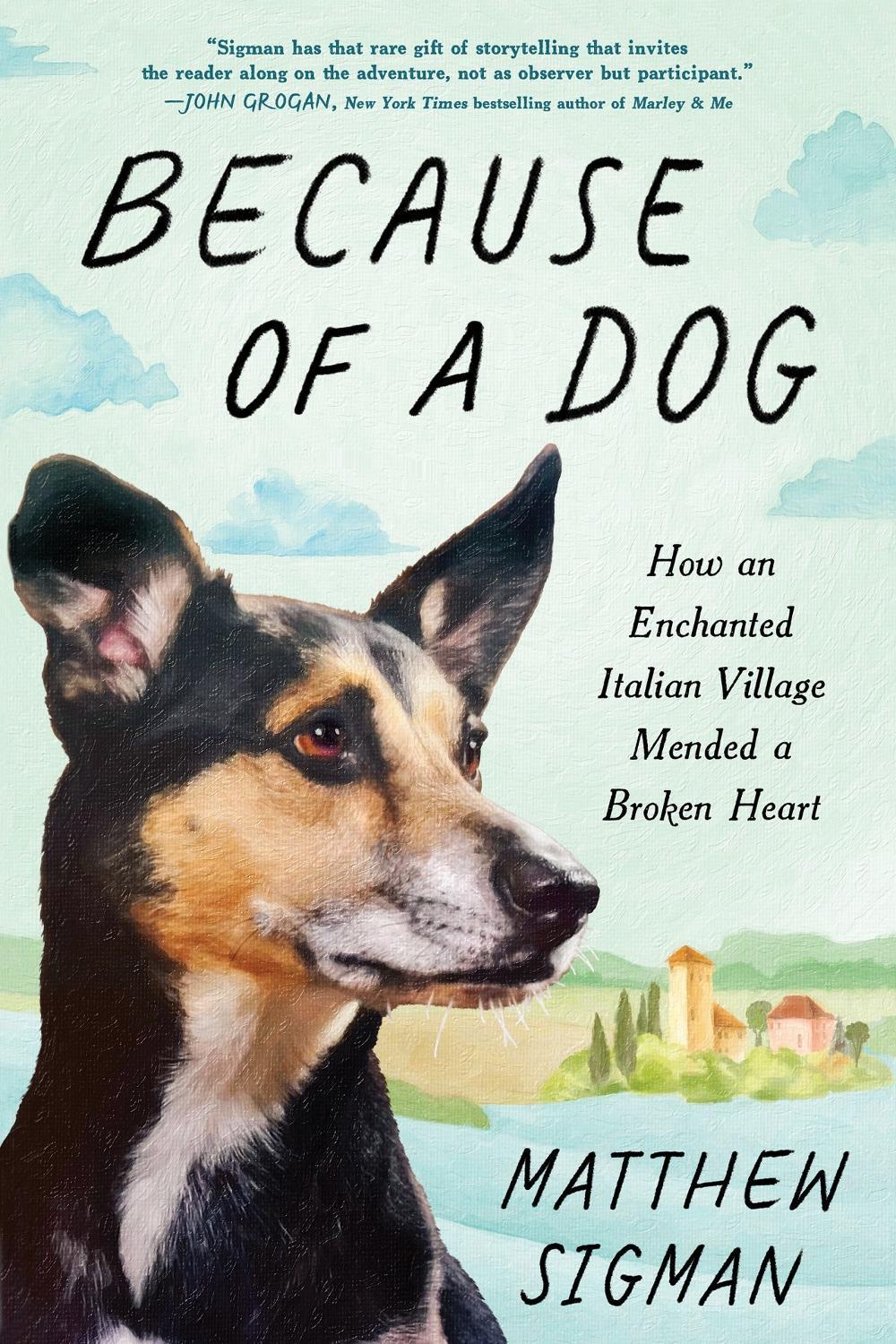 Because of a Dog by Matthew Sigman - ISBN: 9781464270178