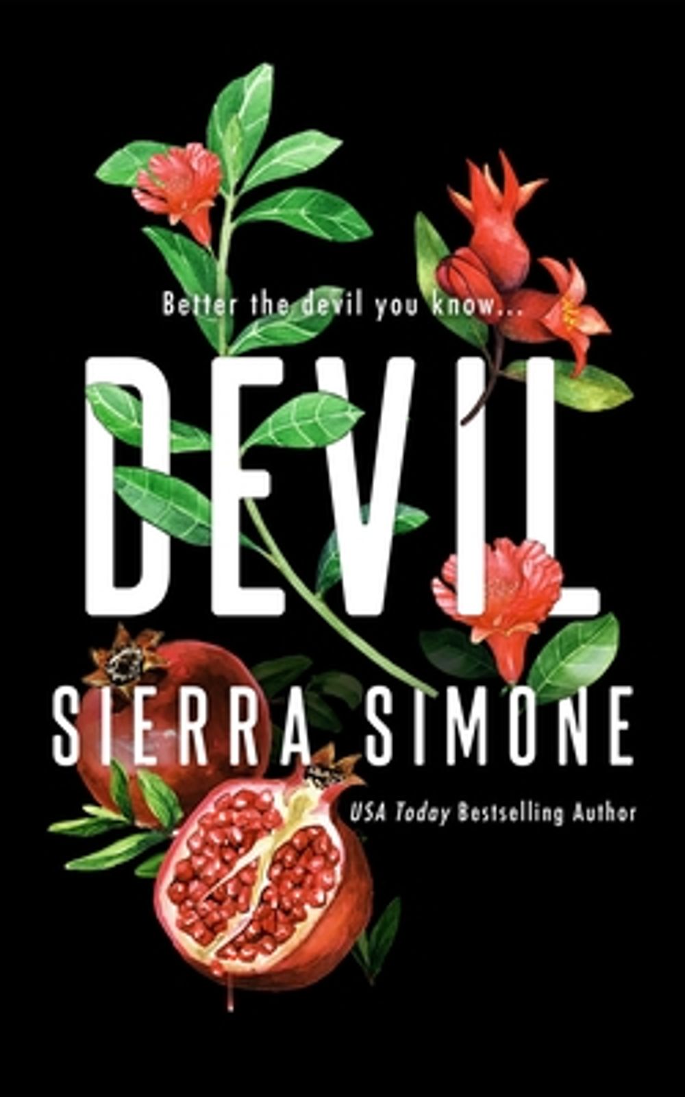 Devil by Sierra Simone - ISBN: 9781464274626