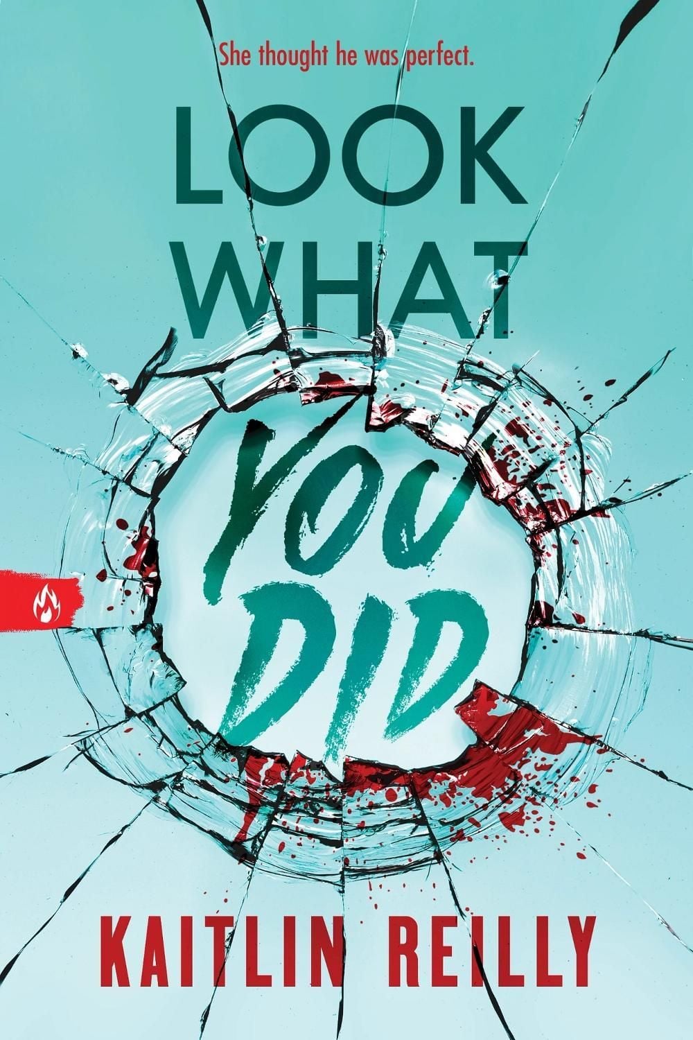 Look What You Did by Kaitlin Reilly - ISBN: 9781464279898