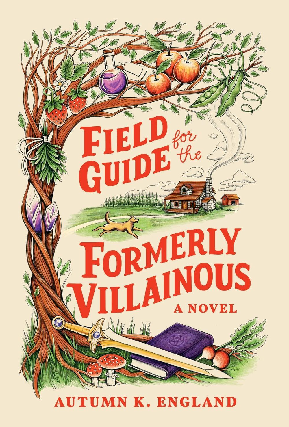Field Guide for the Formerly Villainous by Autumn England - ISBN: 9781464280634
