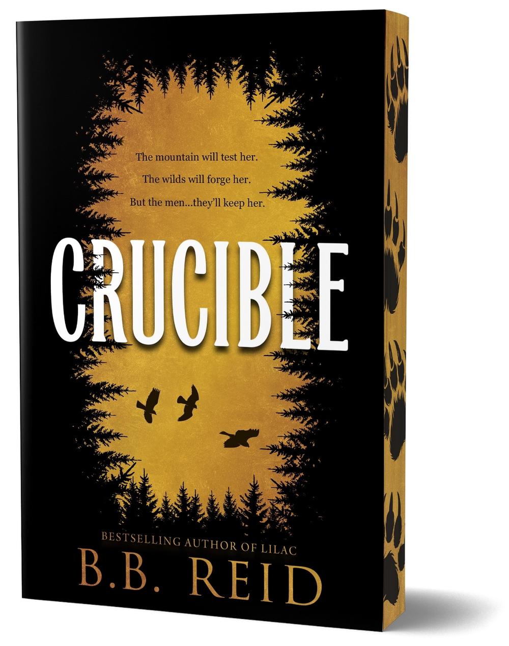 Crucible by B.B. Reid - ISBN: 9781464281907