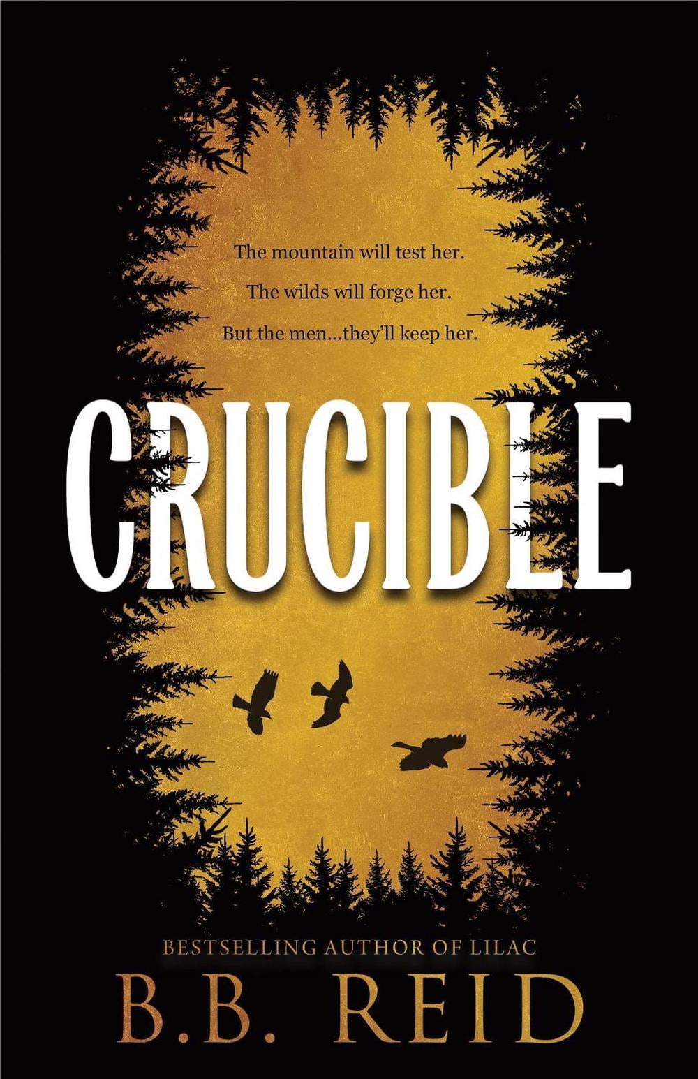 Crucible by B.B. Reid - ISBN: 9781464281921