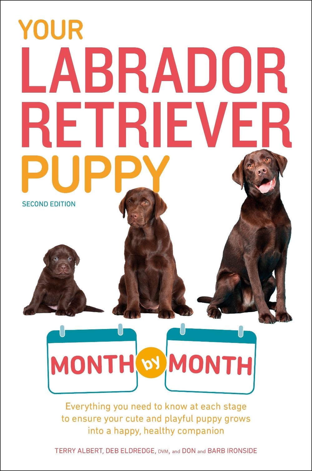 Your Labrador Retriever Puppy Month by Month by Terry Albert
