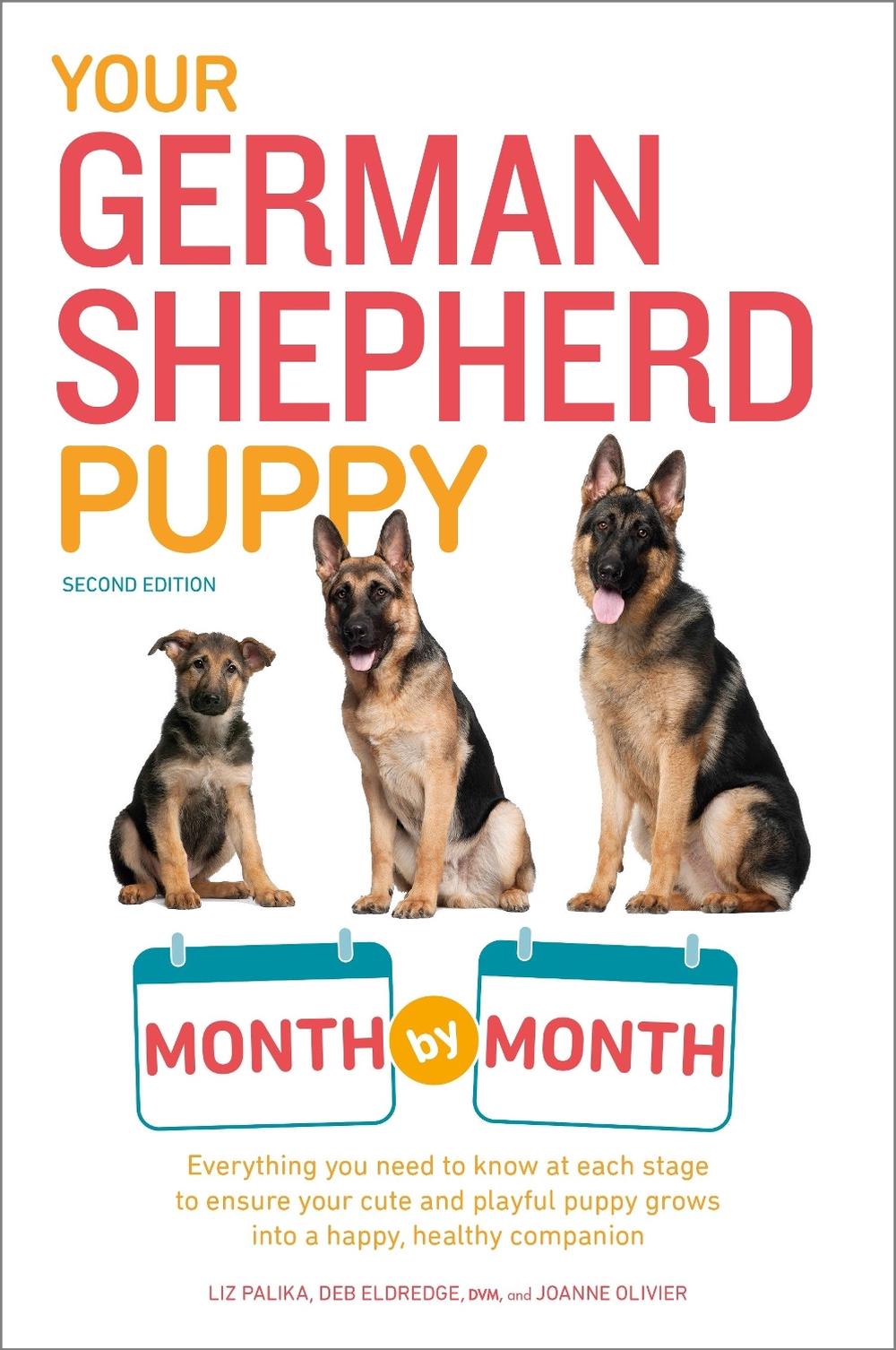 Your German Shepherd Puppy Month by Month by Terry Albert