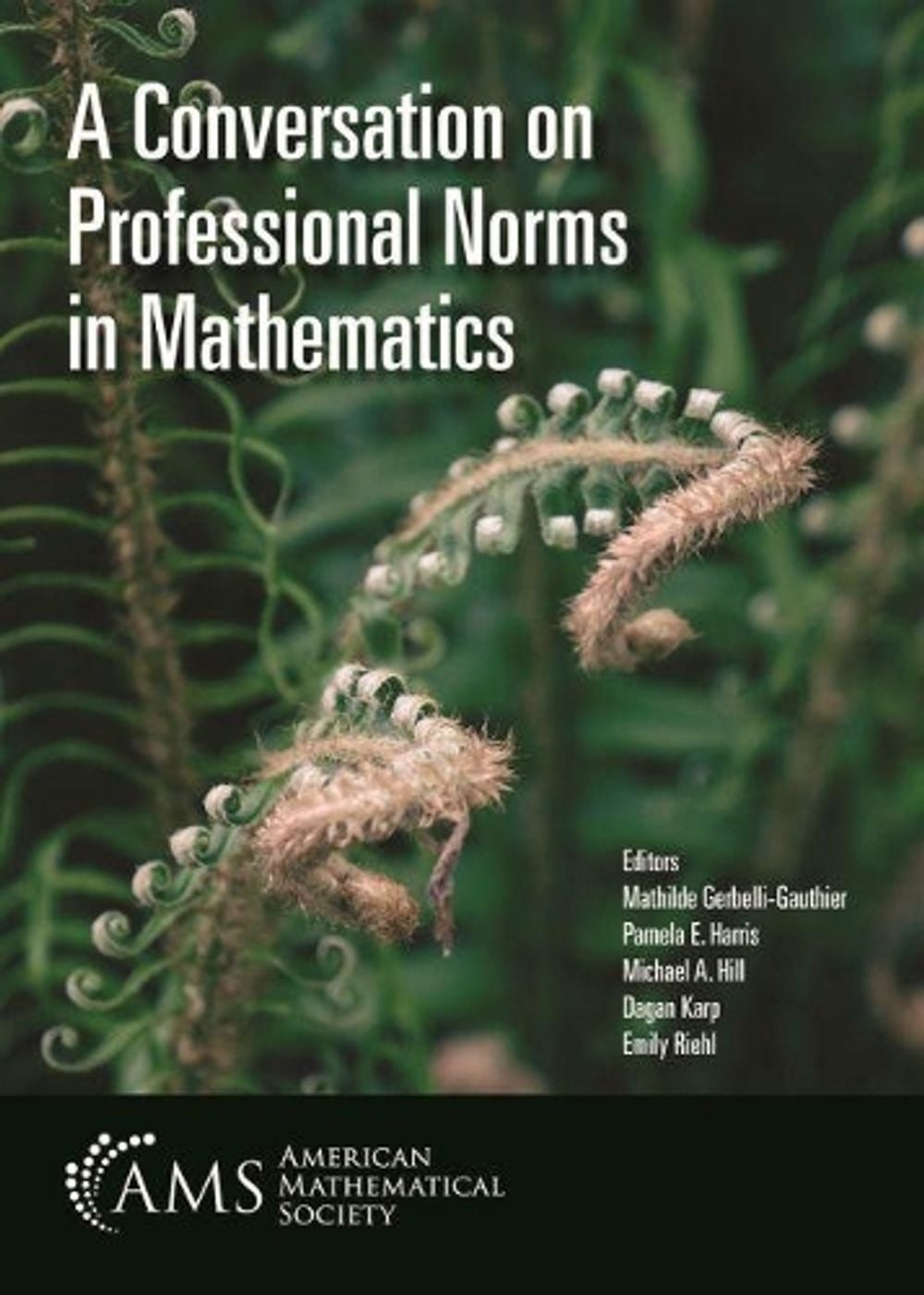 Norm In Mathematics A Conversation on Professional Norms in Mathematics by Mathilde ...