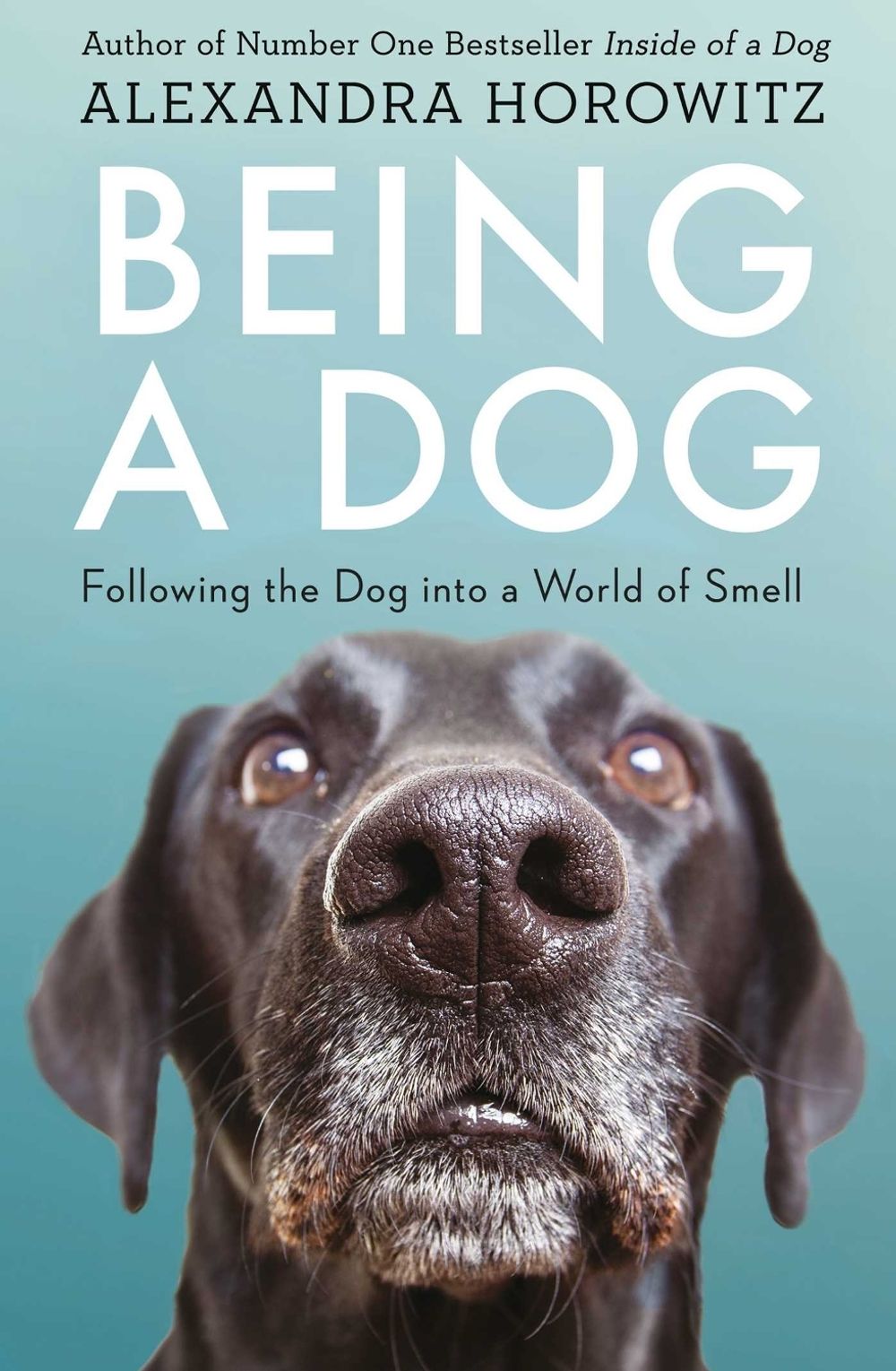 Being a Dog by Alexandra Horowitz - ISBN: 9781471159923
