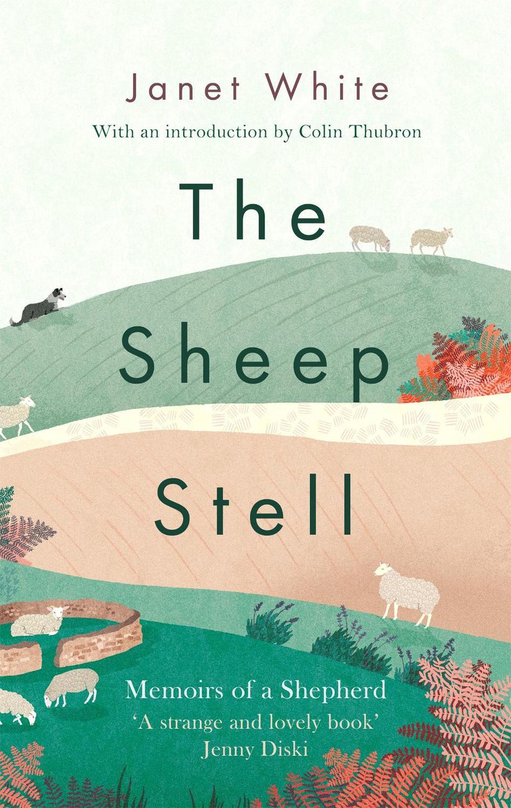 The Sheep Stell by Janet White - ISBN: 9781472128607