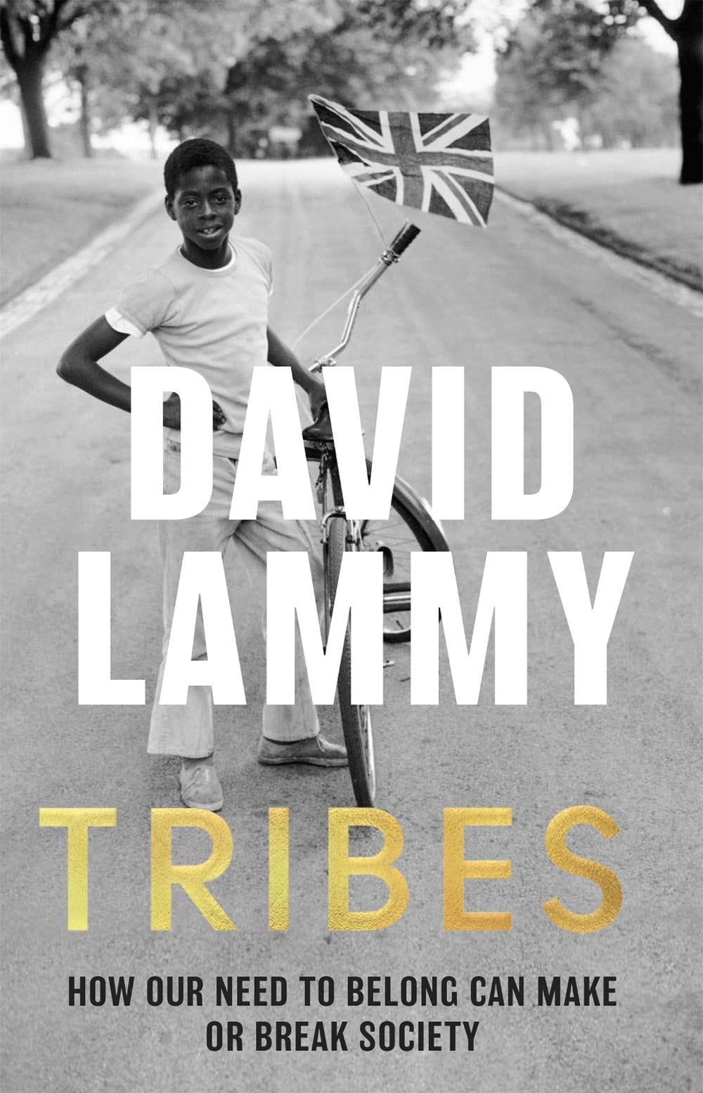 Tribes by David Lammy - ISBN: 9781472128720