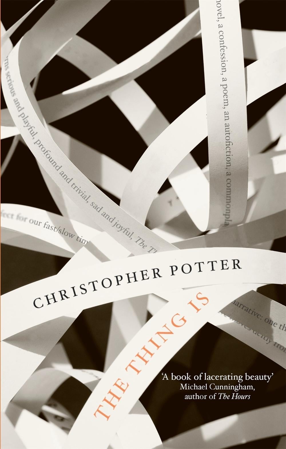 The Thing Is by Christopher Potter - ISBN: 9781472134332