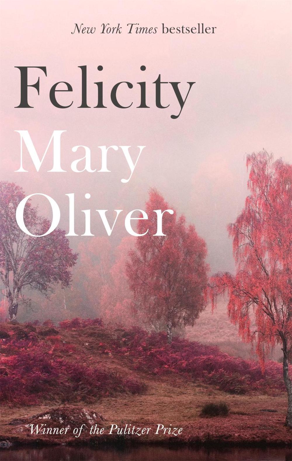 Felicity, 9781472153739