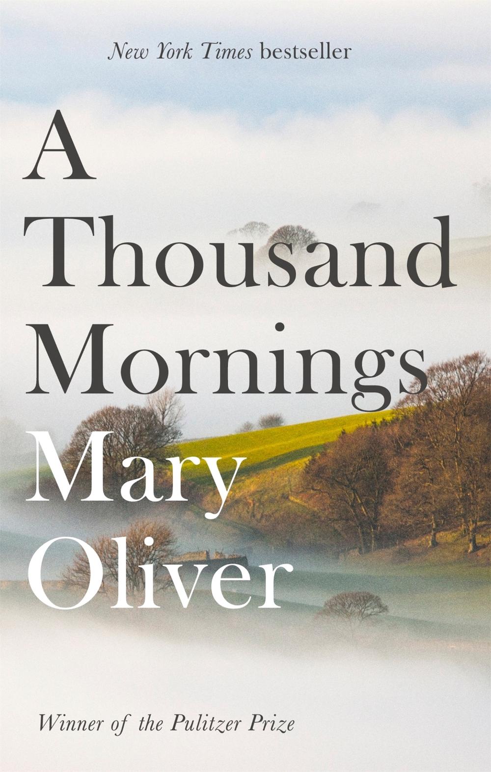 A Thousand Mornings, 9781472153760
