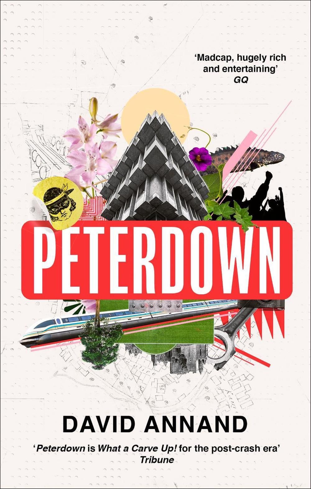 Peterdown by David Annand - ISBN: 9781472155849