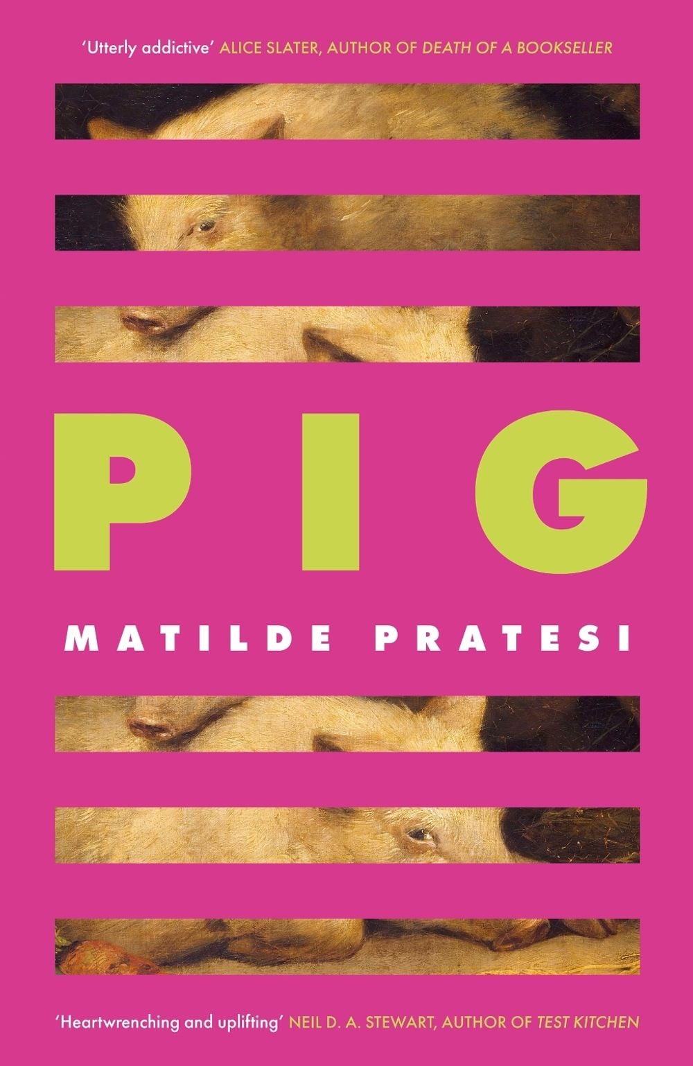 Pig by Matilde Pratesi - ISBN: 9781472159106