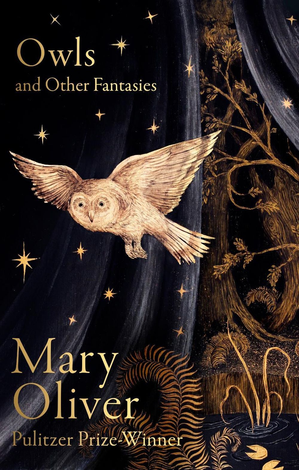 Owls and Other Fantasies by Mary Oliver - ISBN: 9781472160935