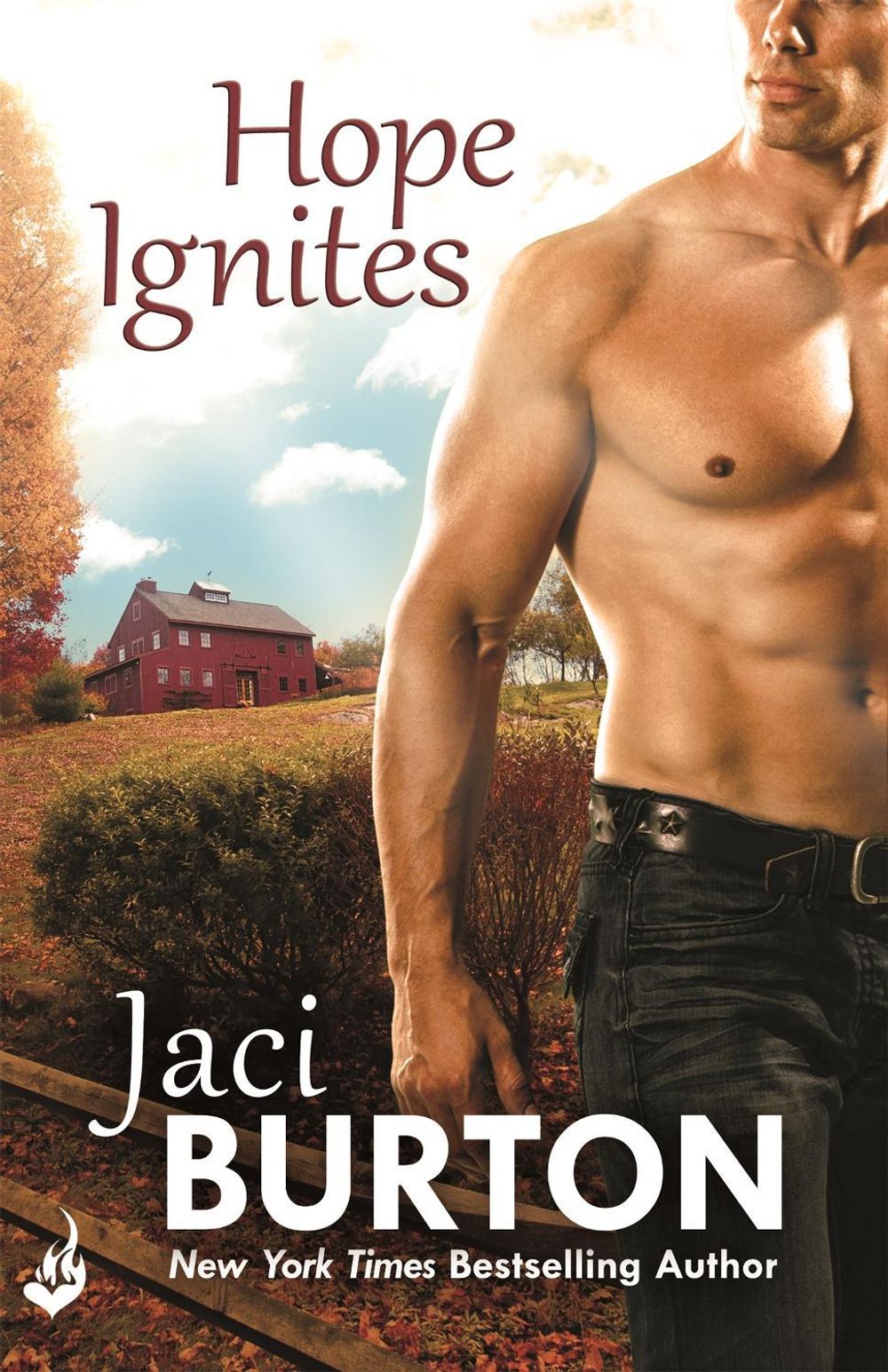 Hope Ignites: Hope Book 2 by Jaci Burton - ISBN: 9781472215376