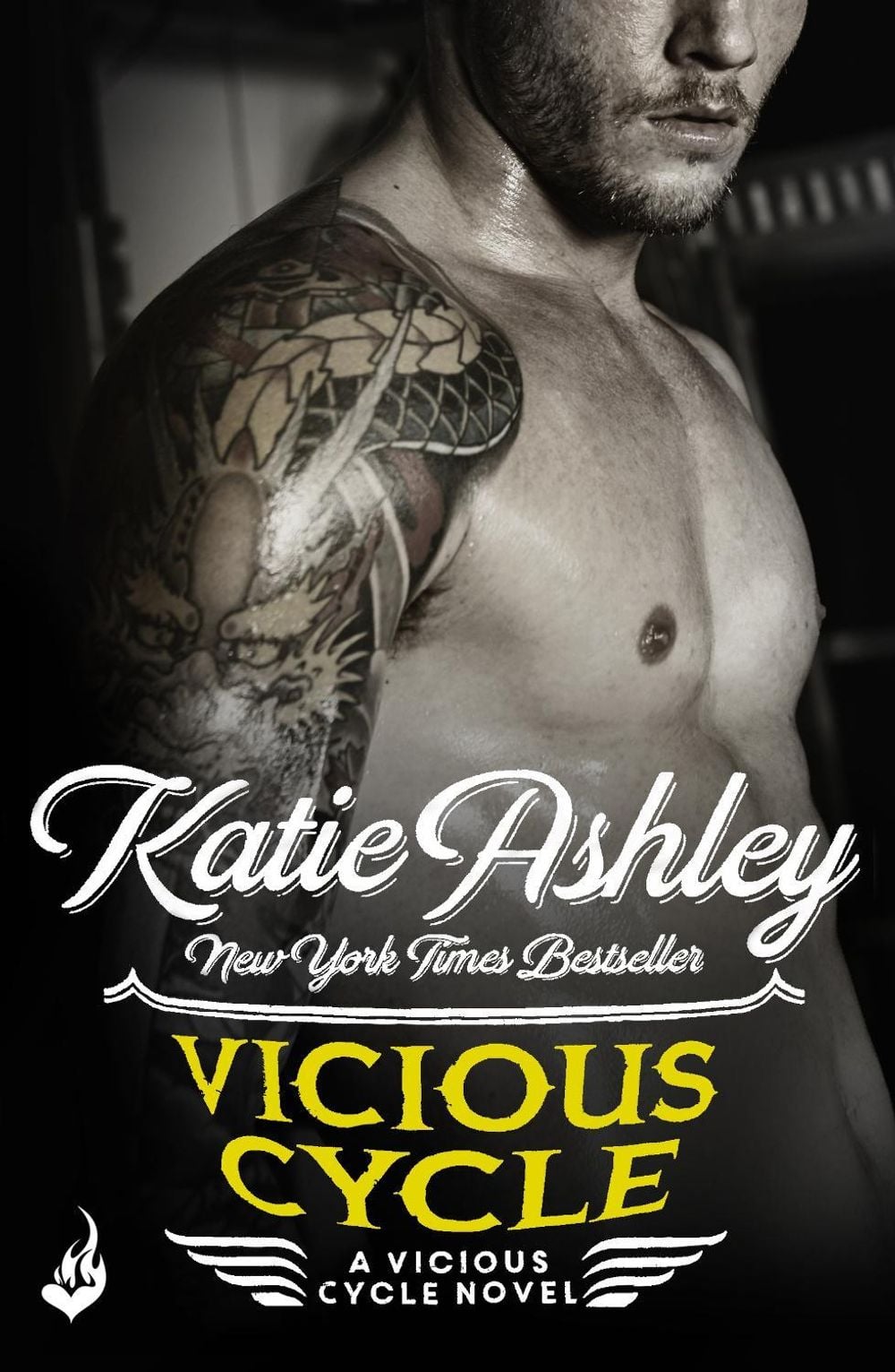 Vicious Cycle: Vicious Cycle 1 by Katie Ashley - ISBN: 9781472229144