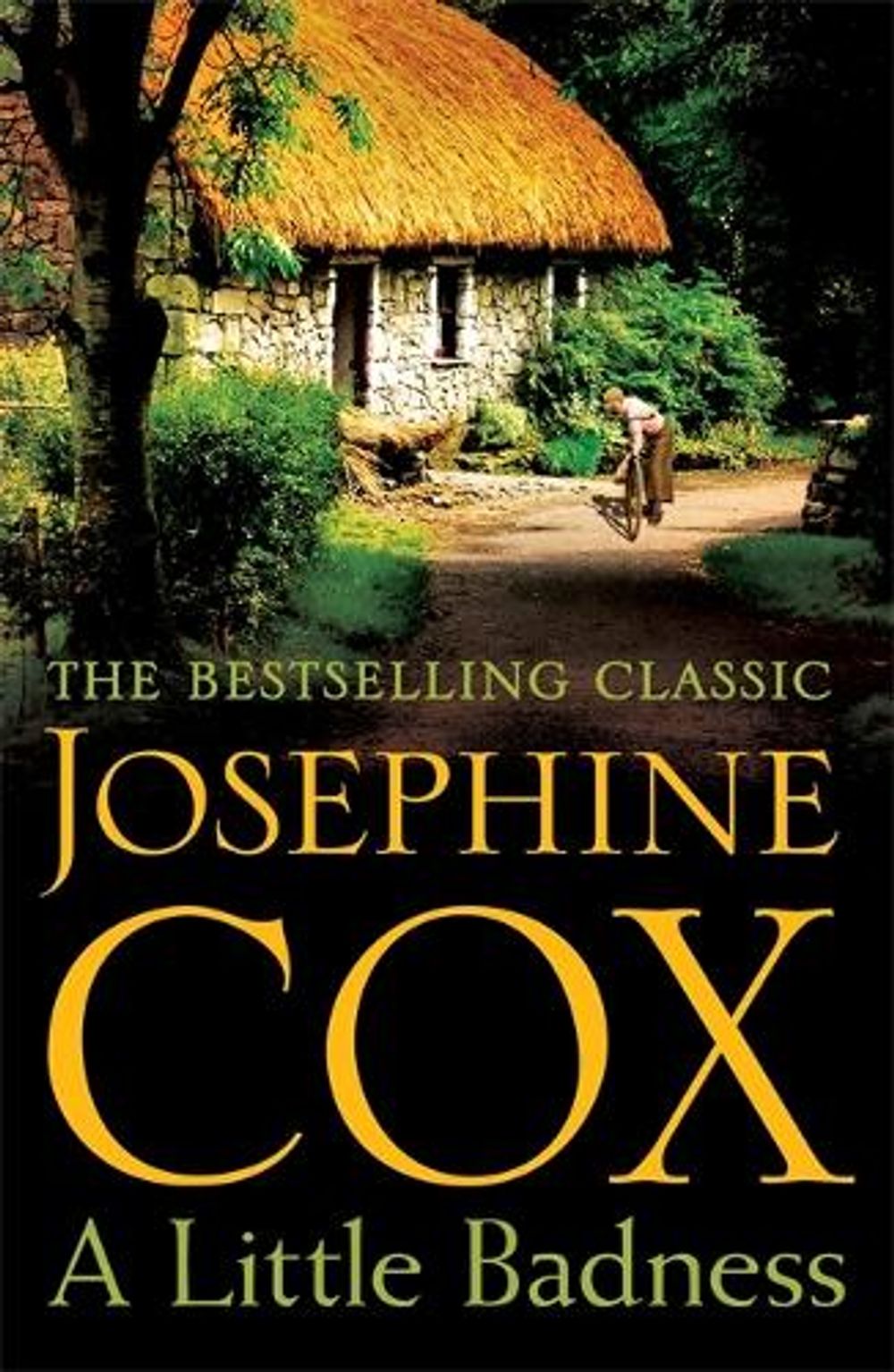 A Little Badness by Josephine Cox - ISBN: 9781472245748
