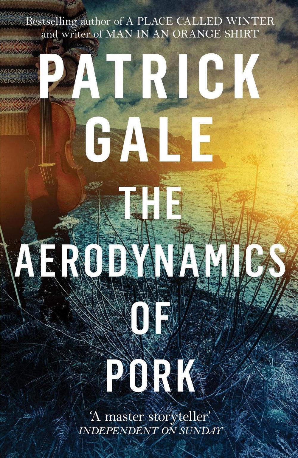 The Aerodynamics of Pork by Patrick Gale - ISBN: 9781472255600