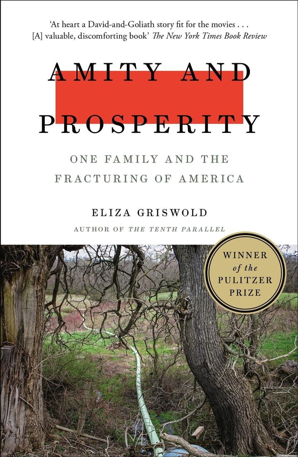 Amity and Prosperity by Eliza Griswold - ISBN: 9781472268723