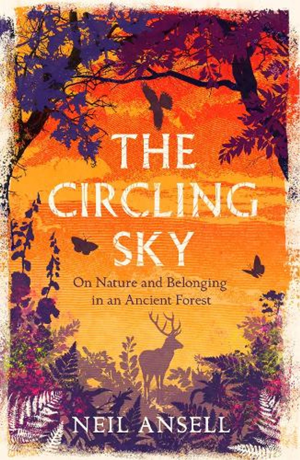 The Circling Sky by Neil Ansell - ISBN: 9781472272379