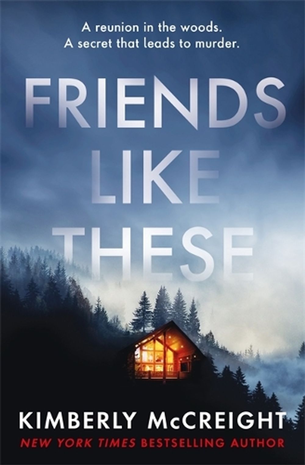 Friends Like These by Kimberly McCreight - ISBN: 9781472292988