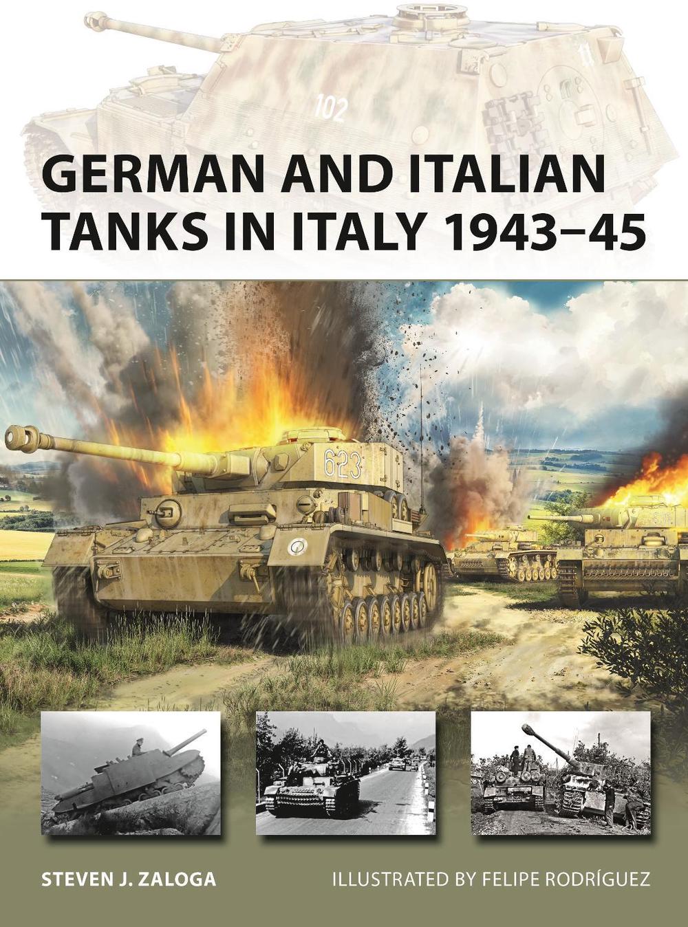 German and Italian Tanks in Italy 1943–45, 9781472864796