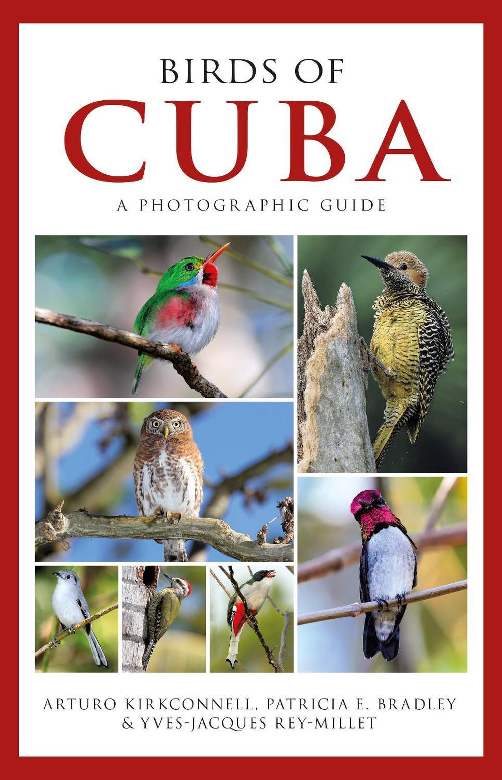 Photographic Guide to the Birds of Cuba, 9781472918390
