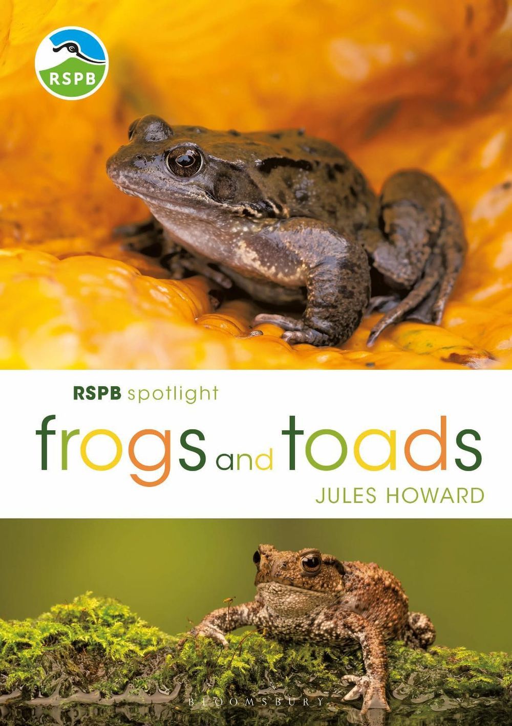 Cover of RSPB Spotlight: Frogs and Toads