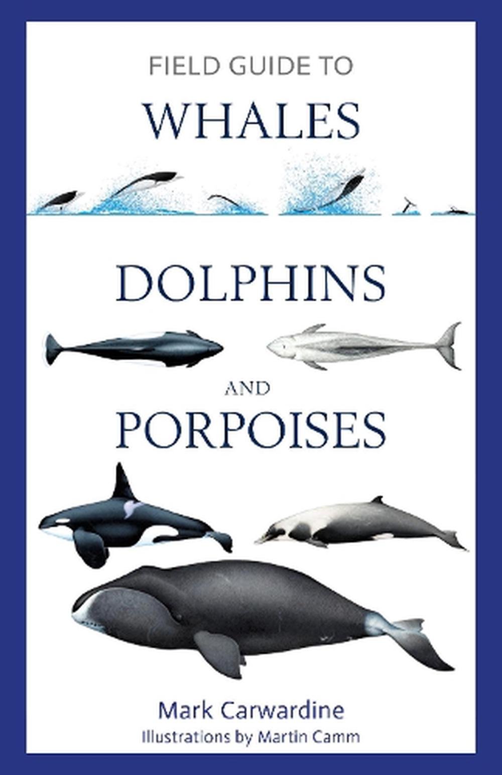 Field Guide To Whales, Dolphins And Porpoises By Mark Carwardine ...