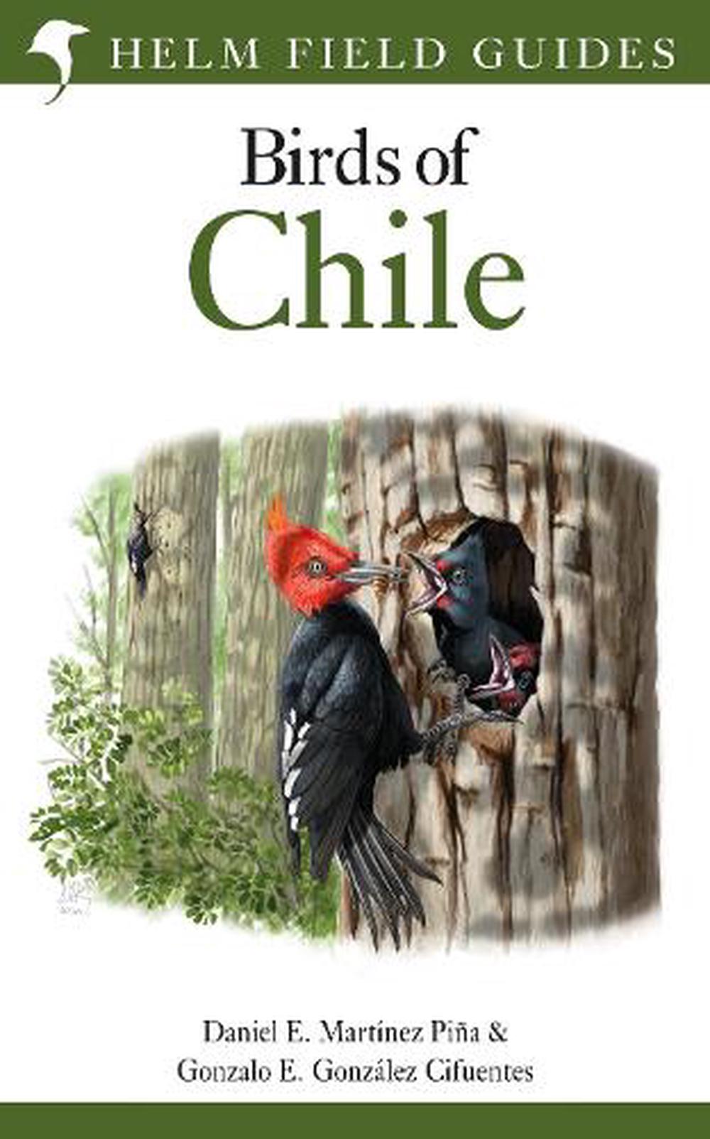 Field Guide to the Birds of Chile by Daniel E. Martínez Piña, Paperback