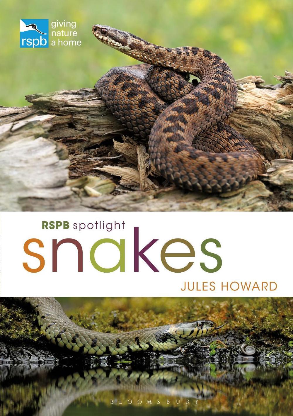 Rspb Spotlight Snakes, 9781472971692