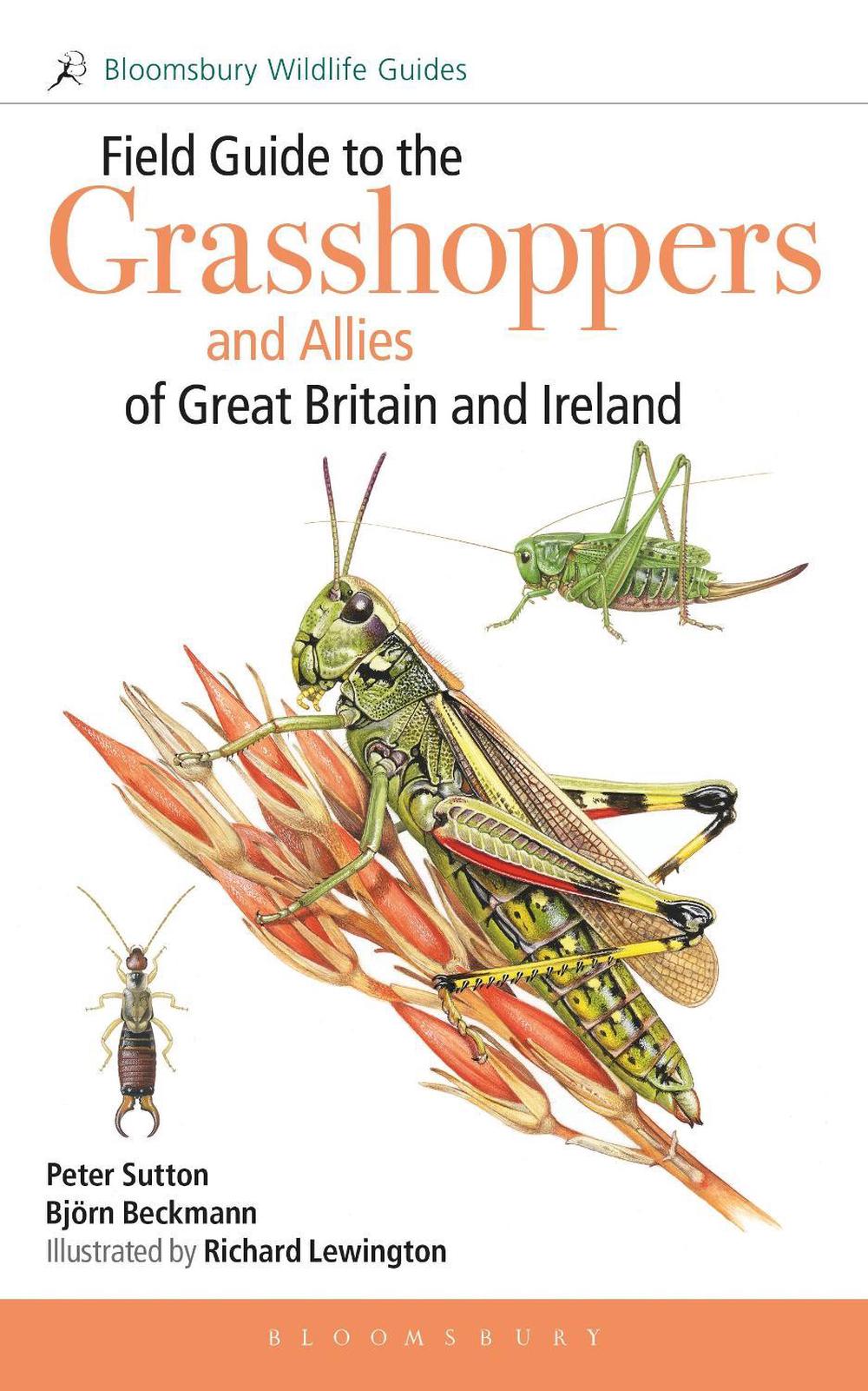 Field Guide to the Grasshoppers and Allies of Great Britain and Ireland, 9781472976802